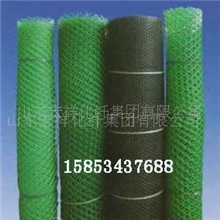 三维土工网垫、三维网垫、土工网垫、特价