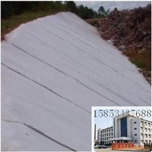 优质土工膜、防水板、复合土工膜规格齐全