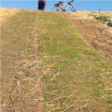 抗冲击生物毯厂家