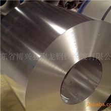 供应优质彩涂卷欢迎订购0543-2263311陈明秀15105436652