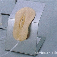 高级着装式女性导尿模型