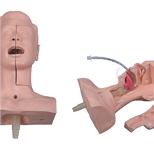 高级吸痰练习模型