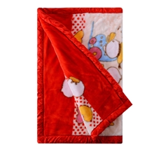童乐源2013秋季儿童毛毯珊瑚绒小被宝宝睡毯柔软漂亮小盖被A16