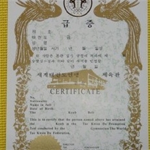 跆拳道考级腰带考级证书中台协证书中国跆拳道协会