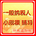 一般纳税人/小规模纳税人/做账咨询辅导服务