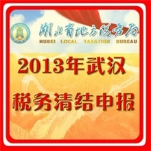 2013年武汉地税税务清结电子申报服务
