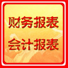 民间非营利组织/学会/协会/商会/会计制度及会计报表编制服务