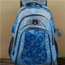 专业箱包厂家定做各种高档双肩运动包，欢迎前来订购，量大价优