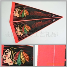 供应大学学校旗帜无纺布旗帜涤纶布旗帜