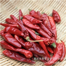 批发干辣椒新一代辣椒子弹头辣椒川菜必备材料酒店餐饮专供