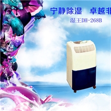 【厂家批发供应】湿王40平米家用办公室冷风抽湿除湿机DH-268B