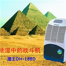 【厂家供应批发】湿王30平米冷风家用商用湿器除湿机DH-188D