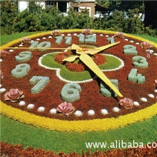 供应专业生产花坛钟