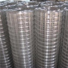 全国销售优质镀锌电焊网