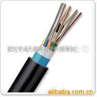 供应武汉宇通2-288芯光缆(图)