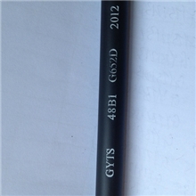 宇通GYTA-48B1.3单模光缆