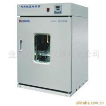 DHP-300电热恒温培养箱/电热恒温培养箱/恒温培养箱/培养箱