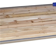 幼儿床/幼儿园专用床/塑料板木床/幼儿园床批发厂家直销