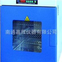 立式智能型鼓风干燥箱