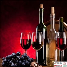 葡萄酒及果酒检验设备|山葡萄酒检验设备|苹果酒检验设备