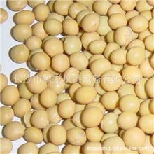 豆制品QS认证必备出厂检验设备