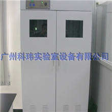 厂家定制实验室家具实验柜全木结构气瓶柜双气瓶柜广州科玮