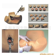 供应高级妇科检查模型