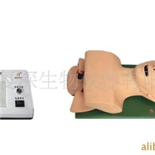 供应电子人体气管插管训练模型（带牙齿受压报警）