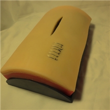 医学模型人体皮肤缝合模型缝合练习模型医院学校教学器材