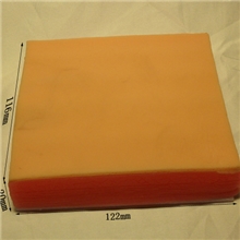 多功能肌肉注射练习模块医药教学器材教育培训实验器材