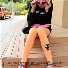 2013秋新款韩国时尚刺绣小猫图案印花九分打底裤义乌批发