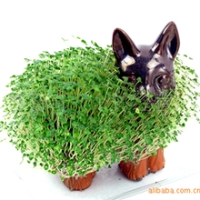 圣诞节礼物创意新奇圣诞礼物礼品