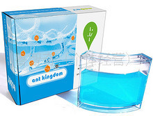 生态E园创意产品-蚂蚁王国宠物玩具儿童礼品