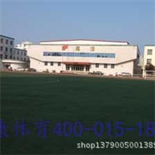 仿真草坪塑料草坪人造草坪地毯草人造草皮球场