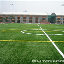 天津人造草坪足球场工程承包公司