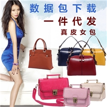 真皮女包一件代发代理女包数据包下载