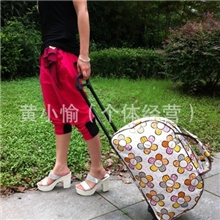 厂家供应拉杆包拉杆旅行包旅行包拉杆包拉杆箱