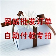 网站批发客户付款链接饰品