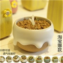 抢批多肉花盆案头小花盆办公室摆件日用生活陶瓷批发定制