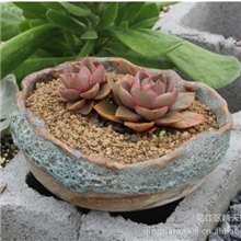 景德镇多肉熔岩系列窗口花盆办公室摆件窑变手工造型陶瓷