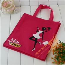 专业厂家宁波/温州/嘉兴/湖州/台州无纺布袋服装包装袋环保袋