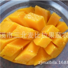专业批发商味香肉滑甜品店专供新鲜芒果水果小台农芒果小腰芒
