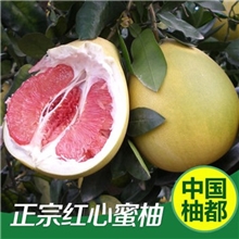 福建平和琯溪红心柚子红肉蜜柚新鲜水果西柚沙田柚20斤每箱