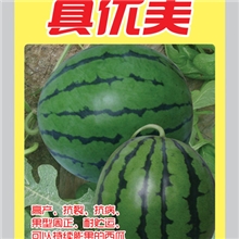 瓜农喜欢的西瓜经销商喜欢的西瓜消费者喜欢的西瓜