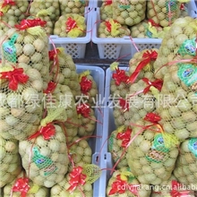 批发泸州福建桂圆供应优质新鲜泸州桂圆福建出口级桂圆