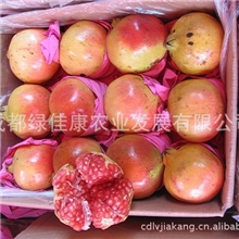 批发会理软籽石榴供应新鲜会理软籽石榴出口会理石榴