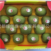 批发有机红阳猕猴桃供应新鲜有机红阳猕猴桃出口猕猴桃