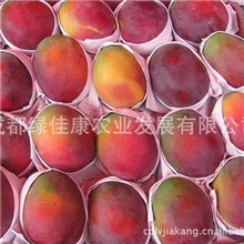 批发攀枝花姬露芒果苹果芒供应新鲜姬露芒果苹果芒出口级芒果