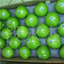 供应代收早熟苹果青苹果夏红苹果藤木苹果