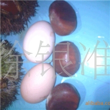 【产地直销，优质价廉】绿色高山板栗